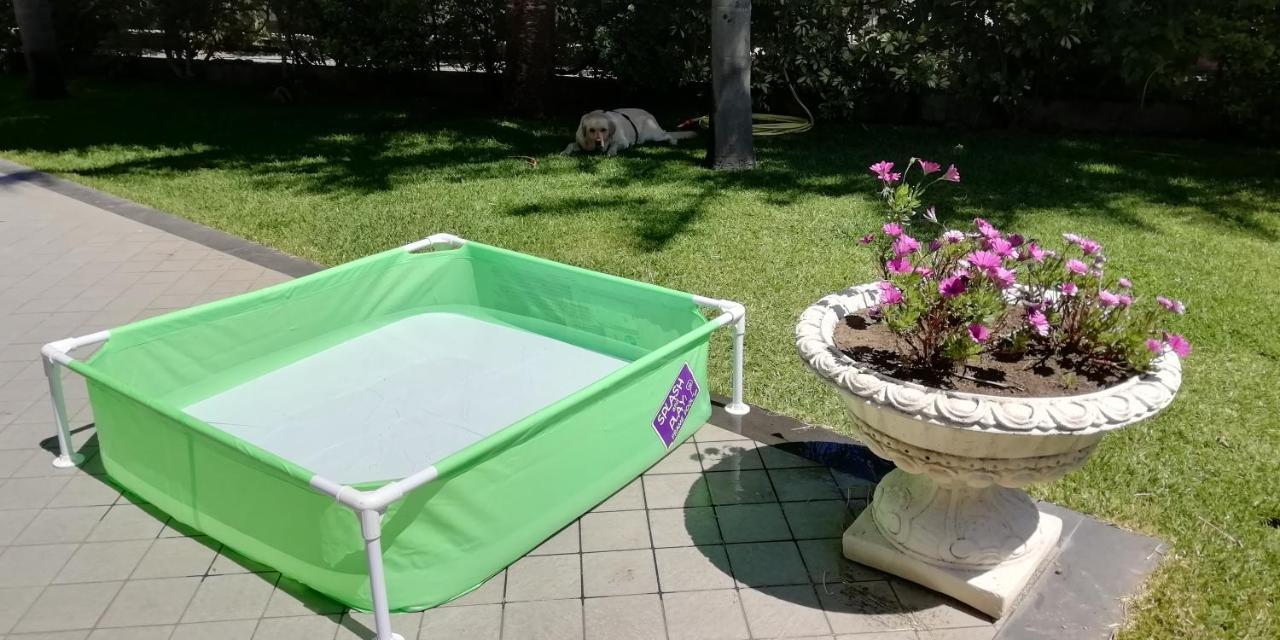 Willa Casa Michelangela Mascali Zewnętrze zdjęcie